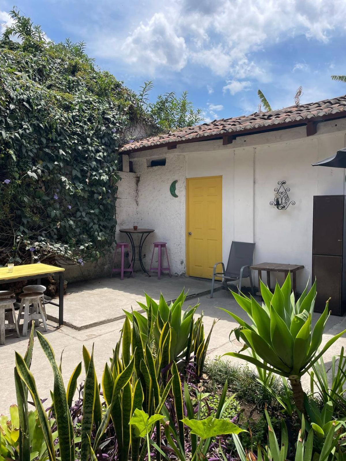 אנטיגואה גואטמלה Volko Party Hostel מראה חיצוני תמונה